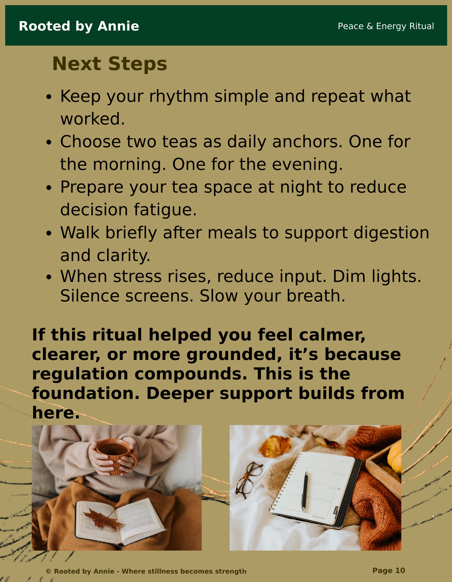Nervous System Reset Digital Guide - Wellness Program For Stress, Anxiety, And Overall Health