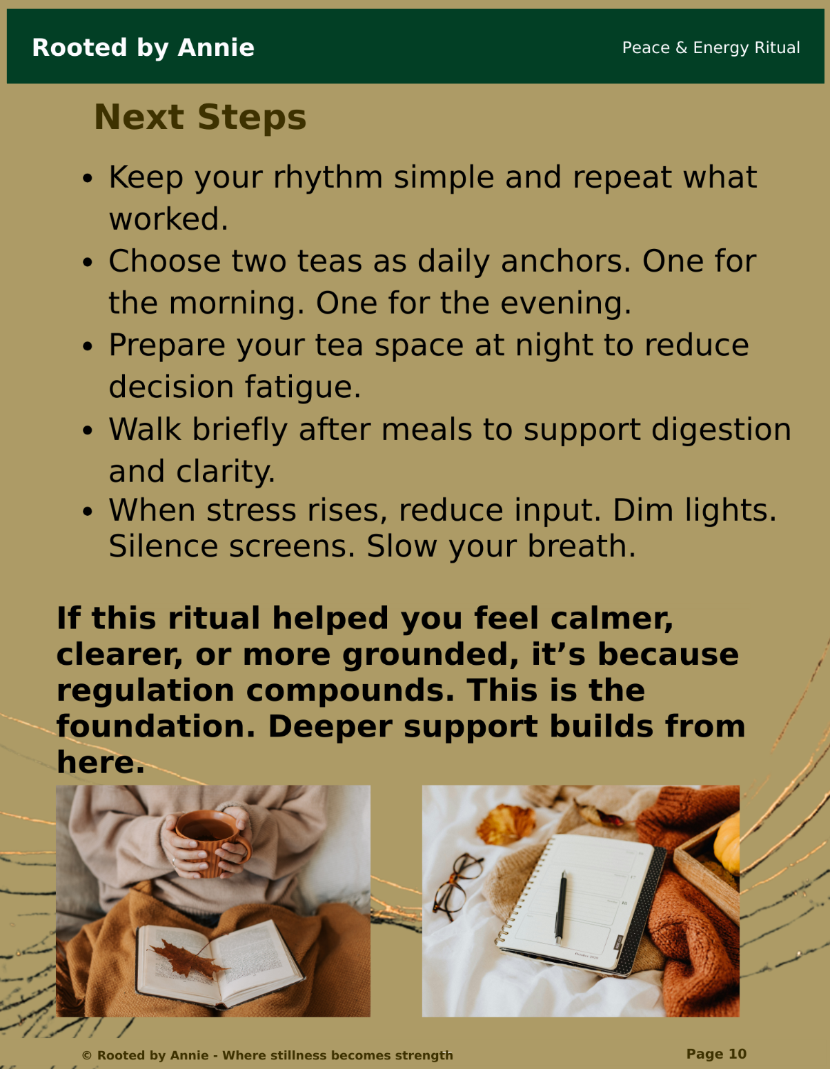 The Regulation Reset™
A 7-Day Protocol to Restore Internal Control