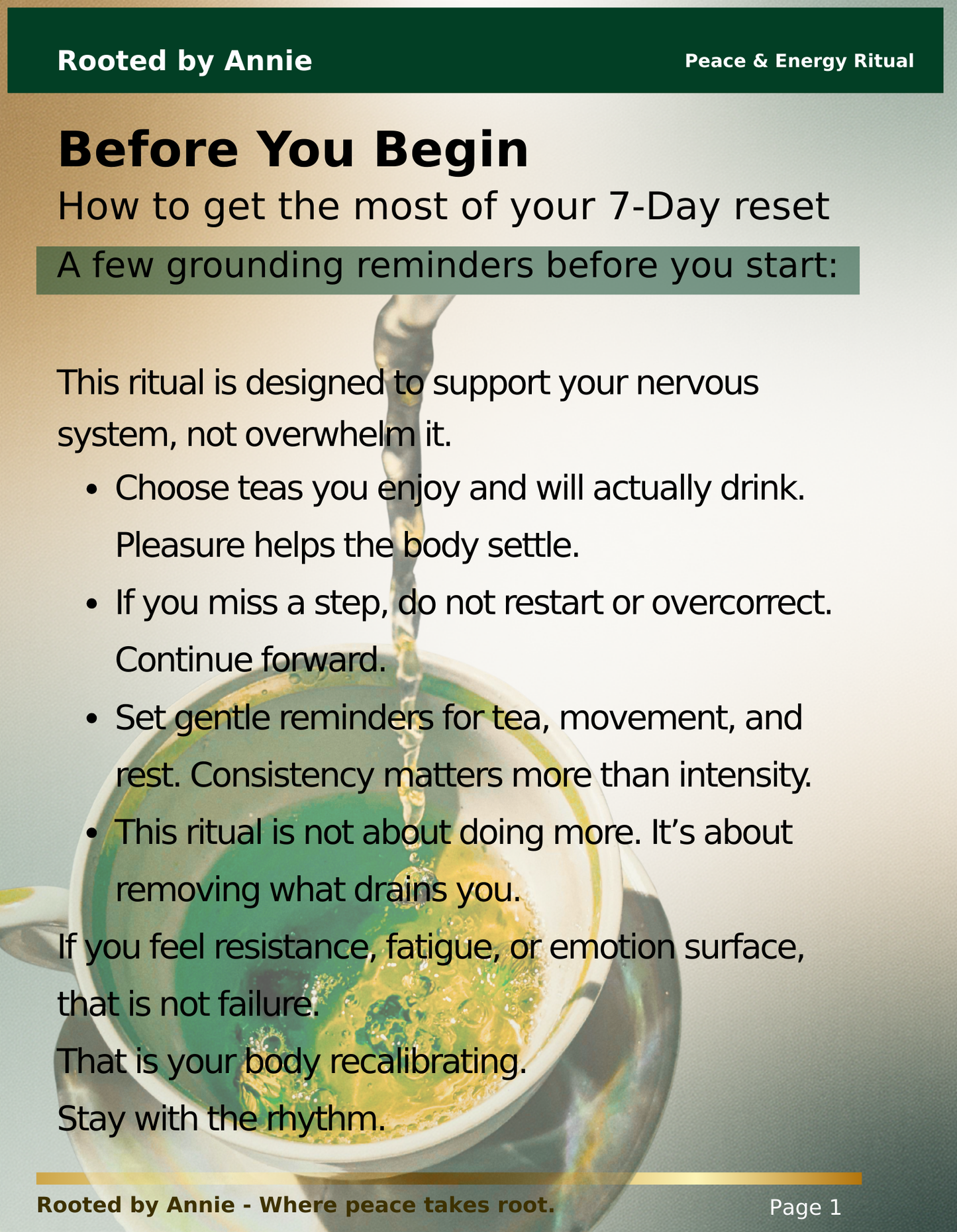 Nervous System Reset Digital Guide - Wellness Program For Stress, Anxiety, And Overall Health