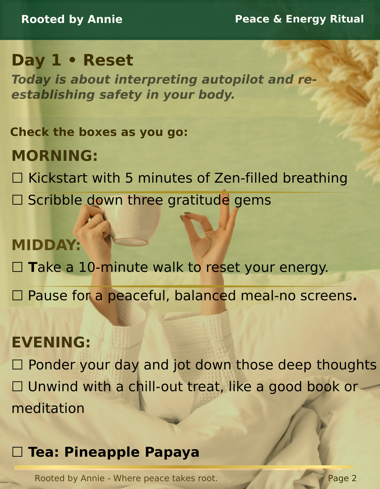 Nervous System Reset Digital Guide - Wellness Program For Stress, Anxiety, And Overall Health
