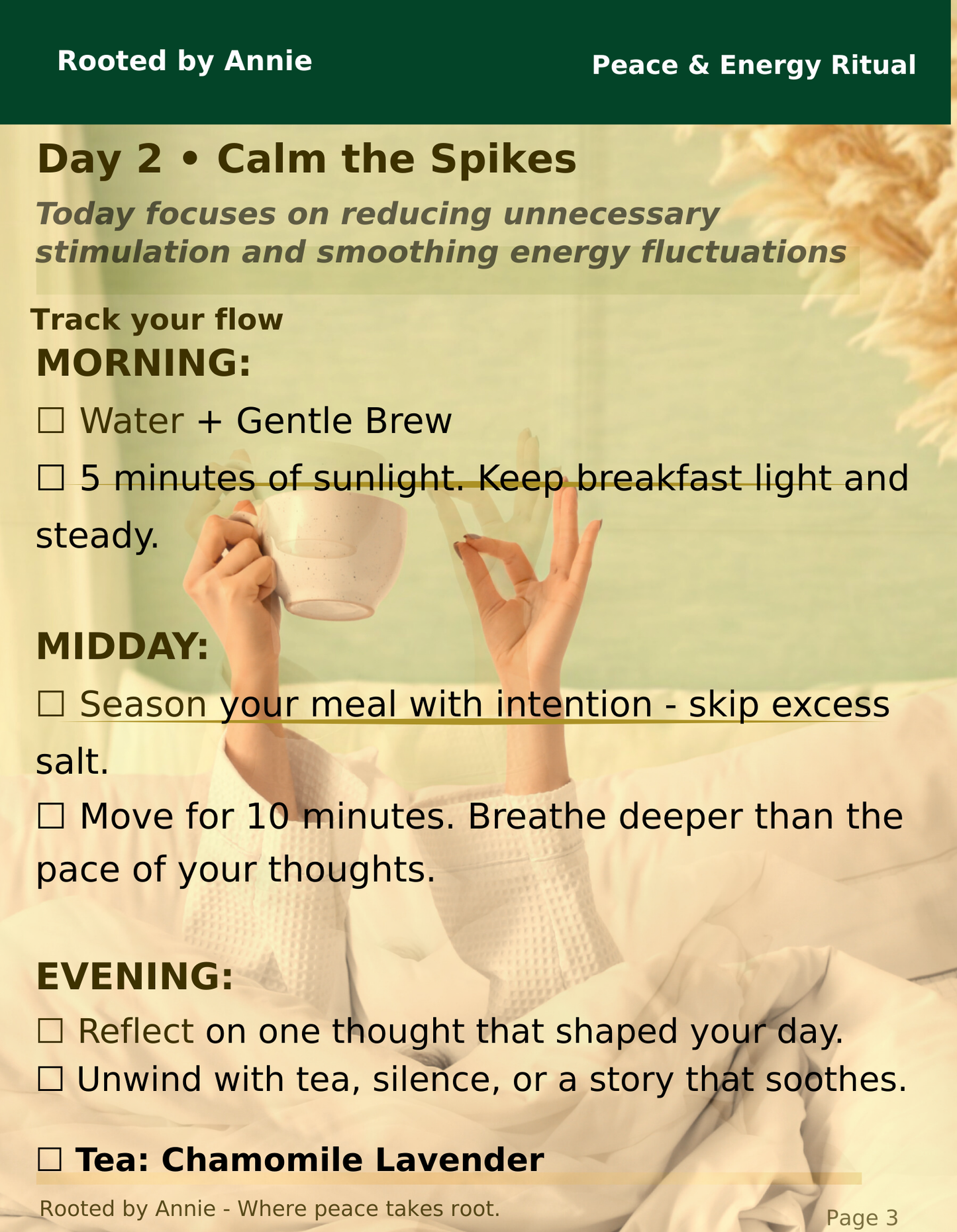 Nervous System Reset Digital Guide - Wellness Program For Stress, Anxiety, And Overall Health