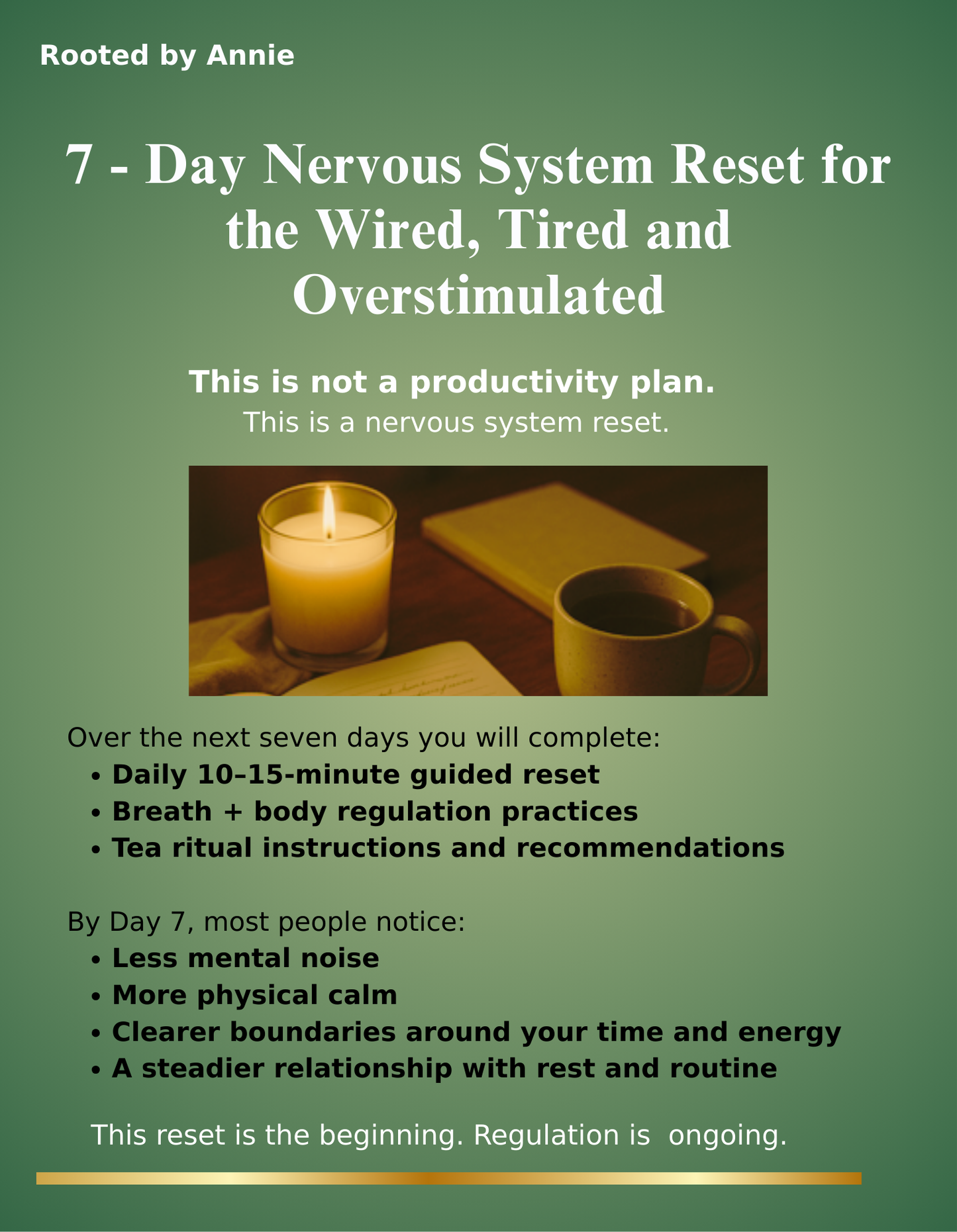 Nervous System Reset Digital Guide - Wellness Program For Stress, Anxiety, And Overall Health